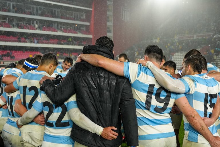 pumas1.jpeg