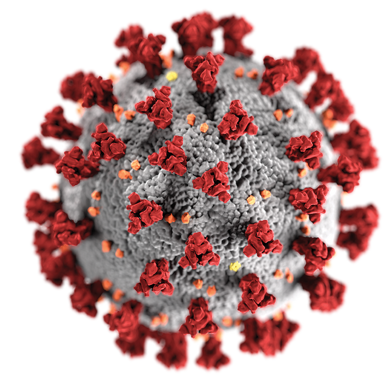 coronavirus-covid-19.png