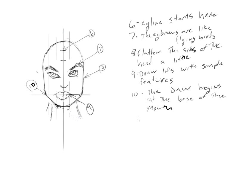 Female head and features step two.png