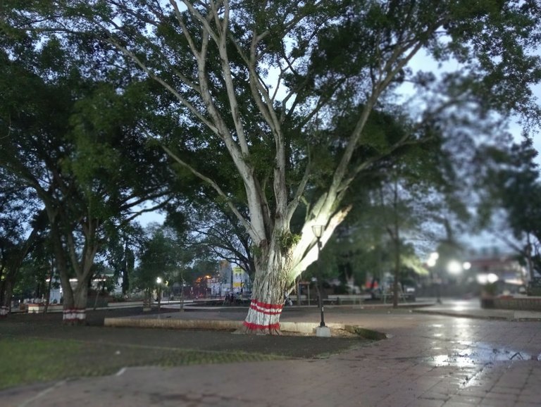 IMG20250322053946.jpg
