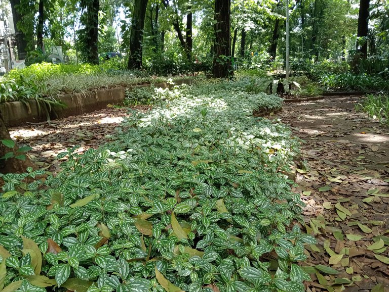 IMG20250414123110.jpg