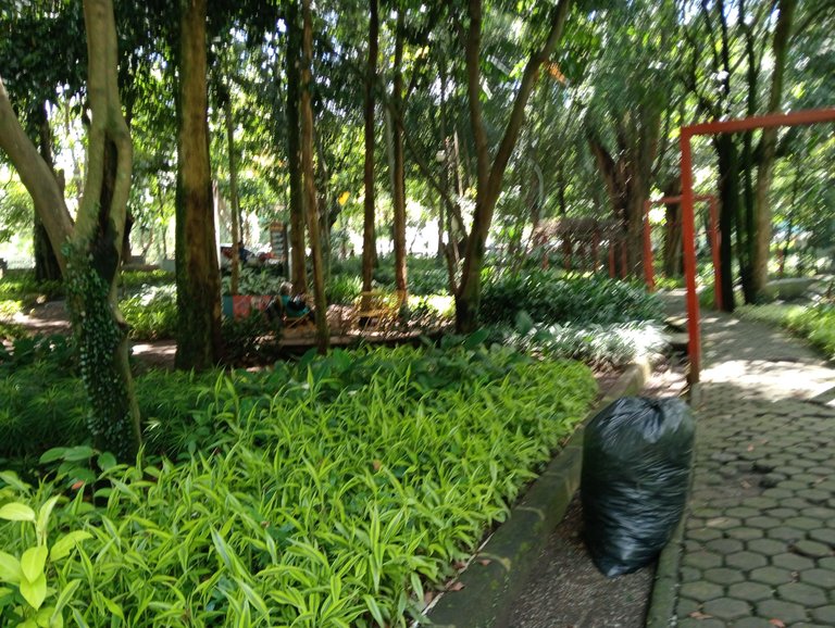 IMG20250414130751.jpg