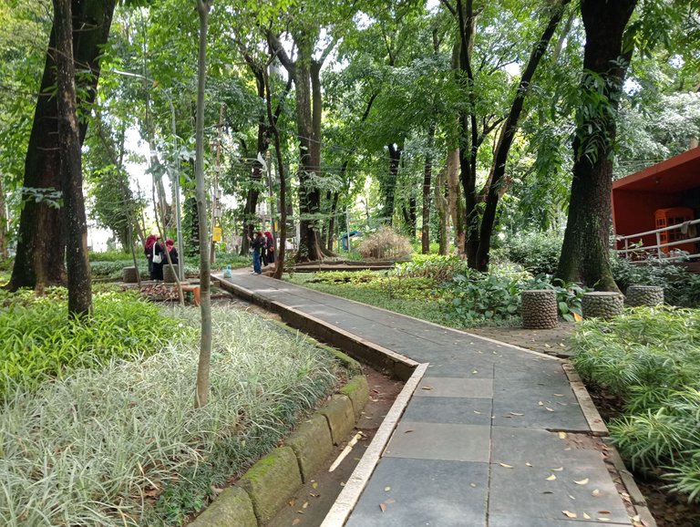 IMG20250414122857.jpg