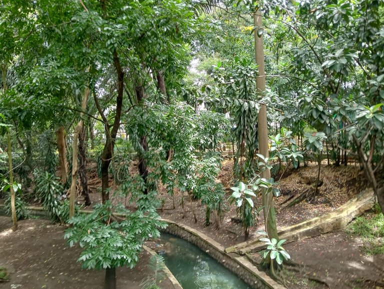 IMG20250414121807.jpg