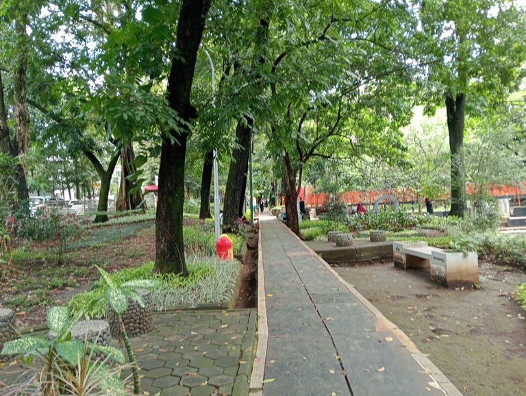 IMG20250414122647.jpg