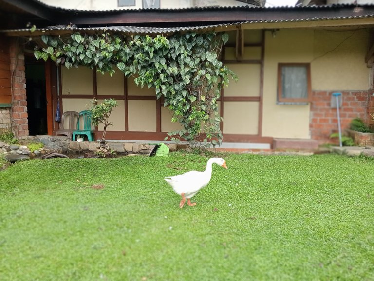IMG20250819100326.jpg