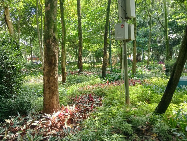 IMG20250414130714.jpg