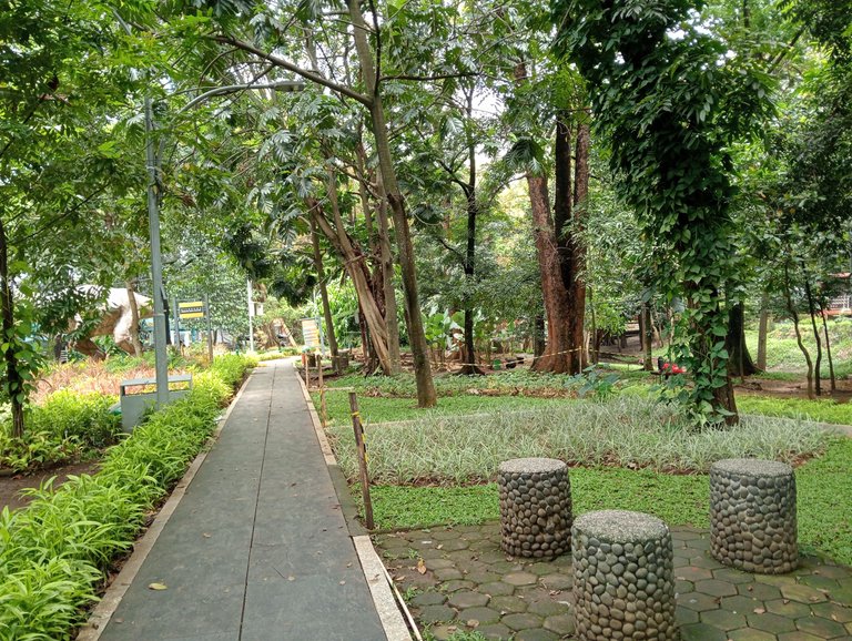 IMG20250414121847.jpg