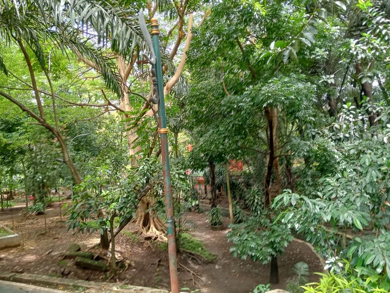 IMG20250414121746.jpg