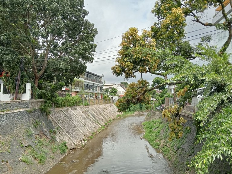 IMG20250120101710.jpg