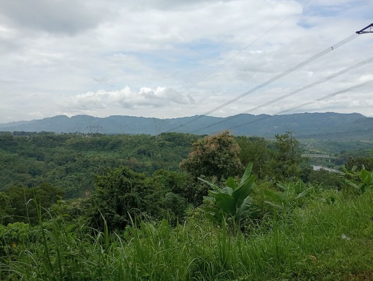 IMG20250423130010.jpg