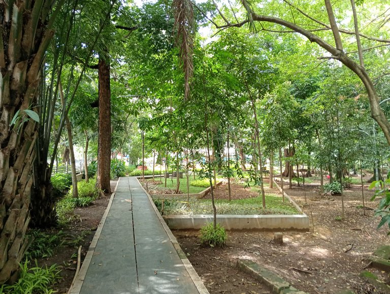 IMG20250414121800.jpg