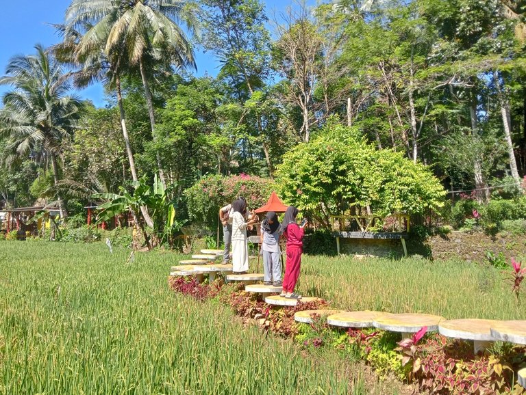 IMG20250608102553.jpg