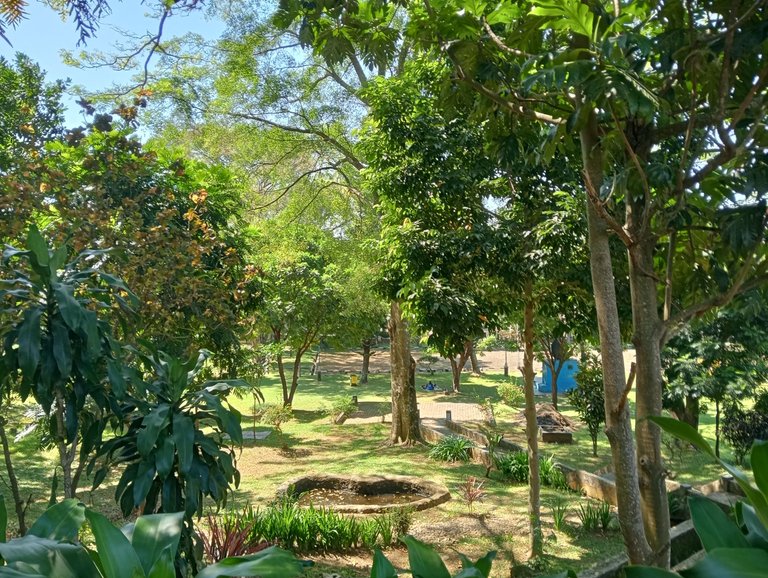 IMG20250607110006.jpg