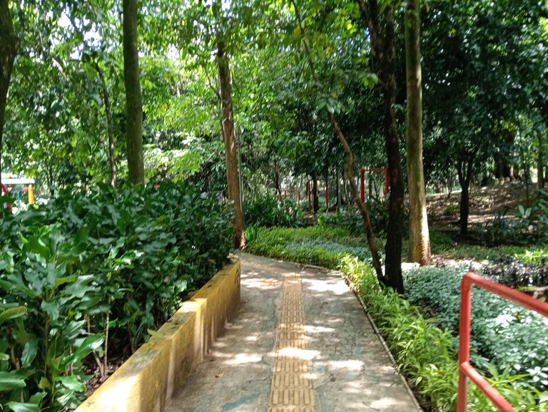 IMG20250414130413.jpg
