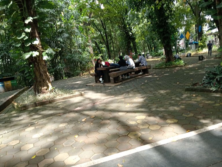 IMG20250414124436.jpg
