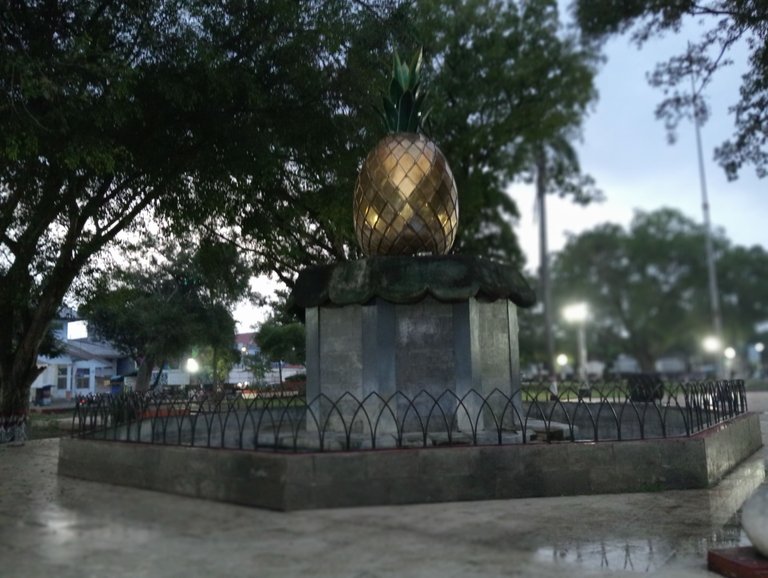 IMG20250322054124.jpg