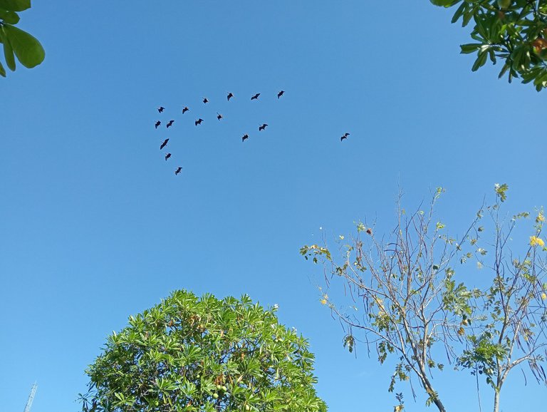 IMG20250608083955.jpg