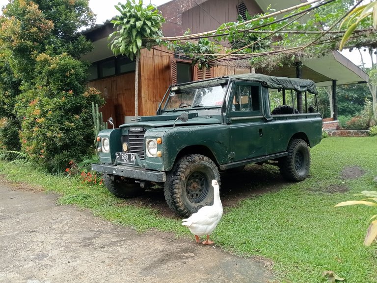 IMG20250819100432.jpg