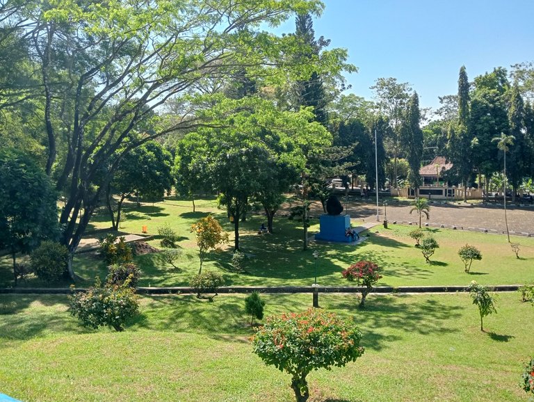 IMG20250607110131.jpg