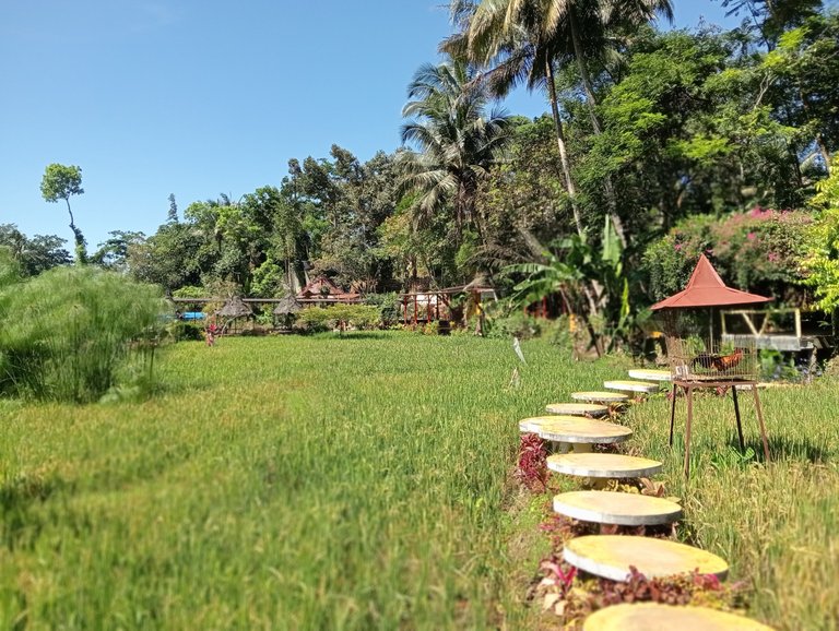IMG20250608103602.jpg