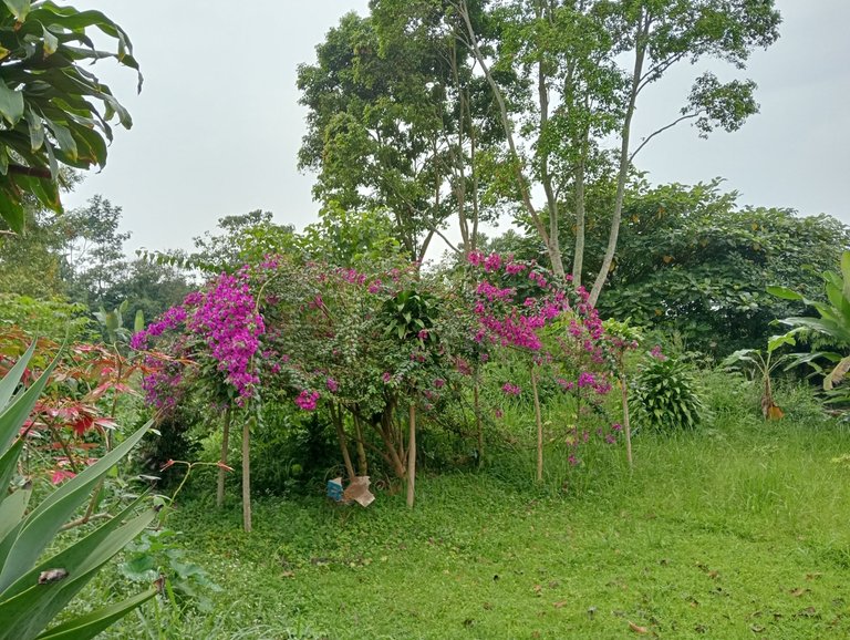 IMG20250819095725.jpg