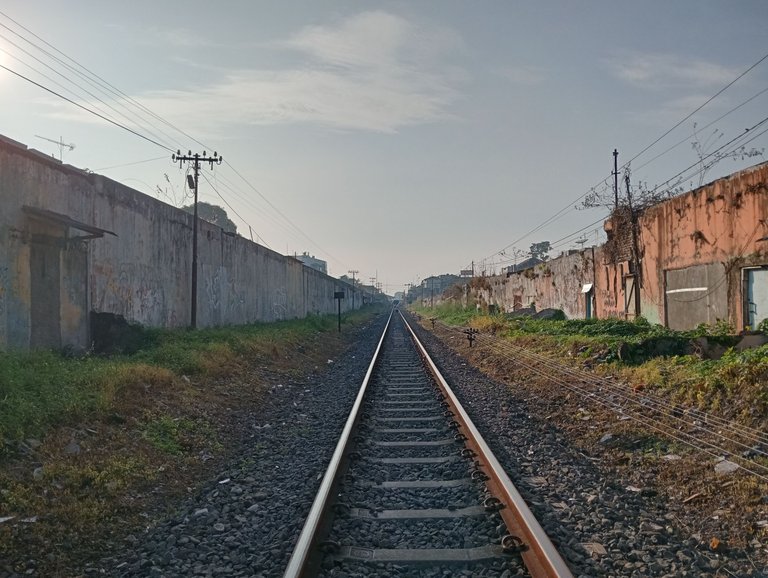 Wednesday walk : Train tracks 
