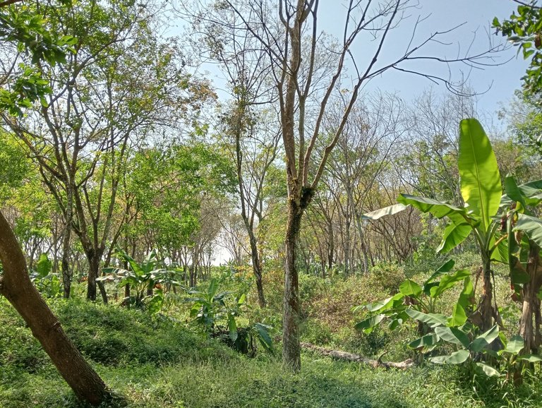 IMG20250804094605.jpg