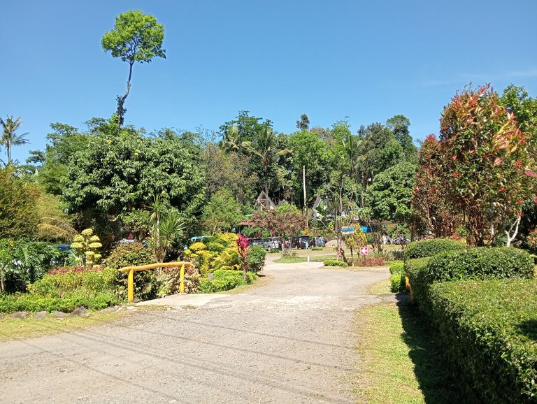 IMG20250608101857.jpg