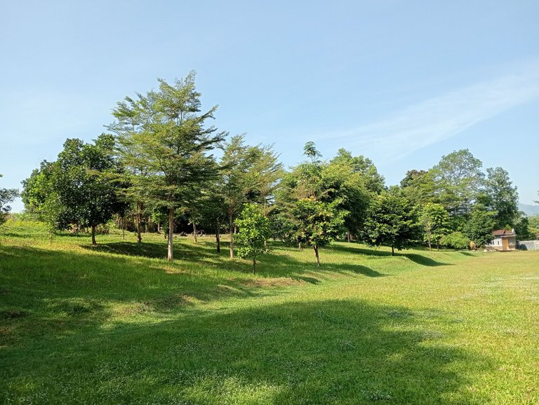 IMG20250804094825.jpg