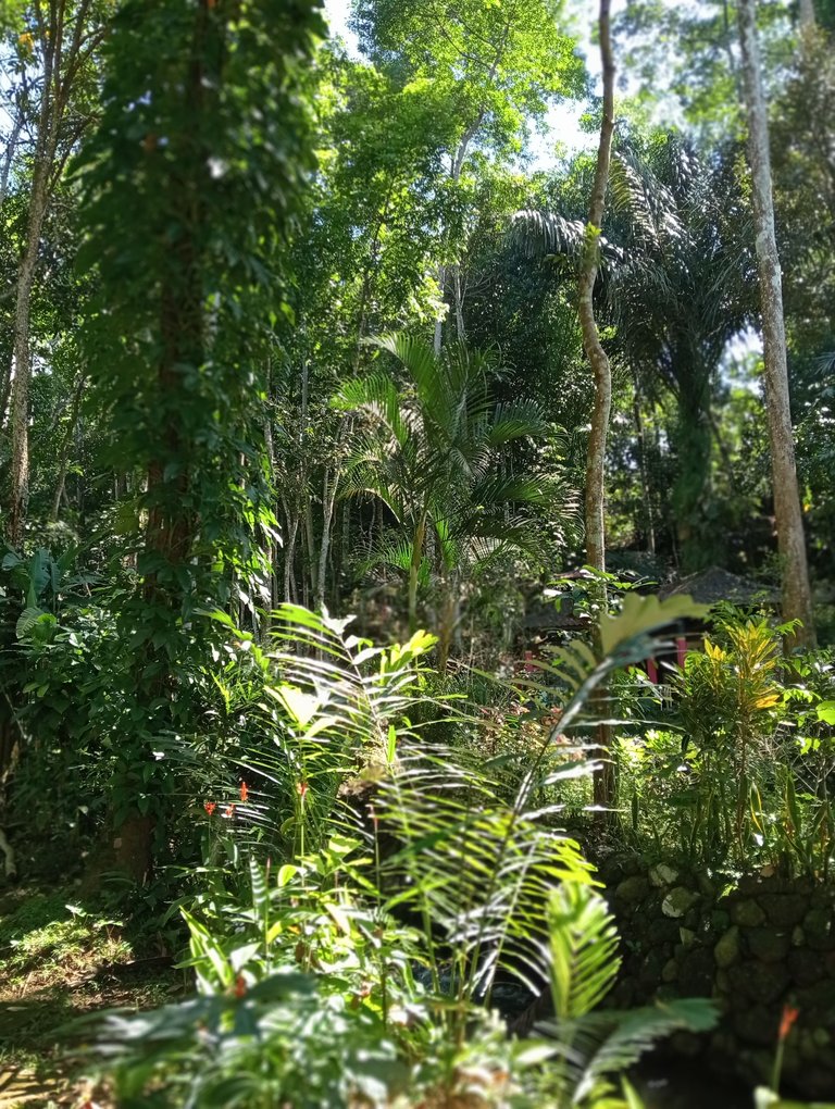 IMG20250608103235.jpg