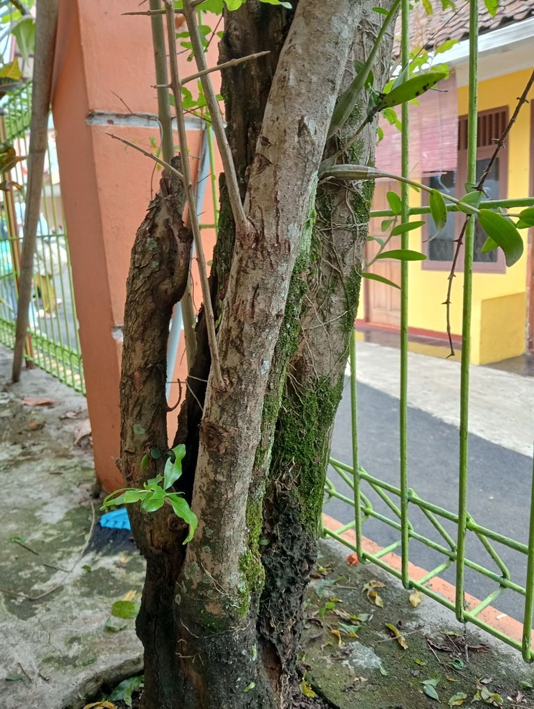 IMG20250813133742.jpg