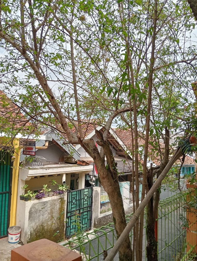 IMG20250813133809.jpg