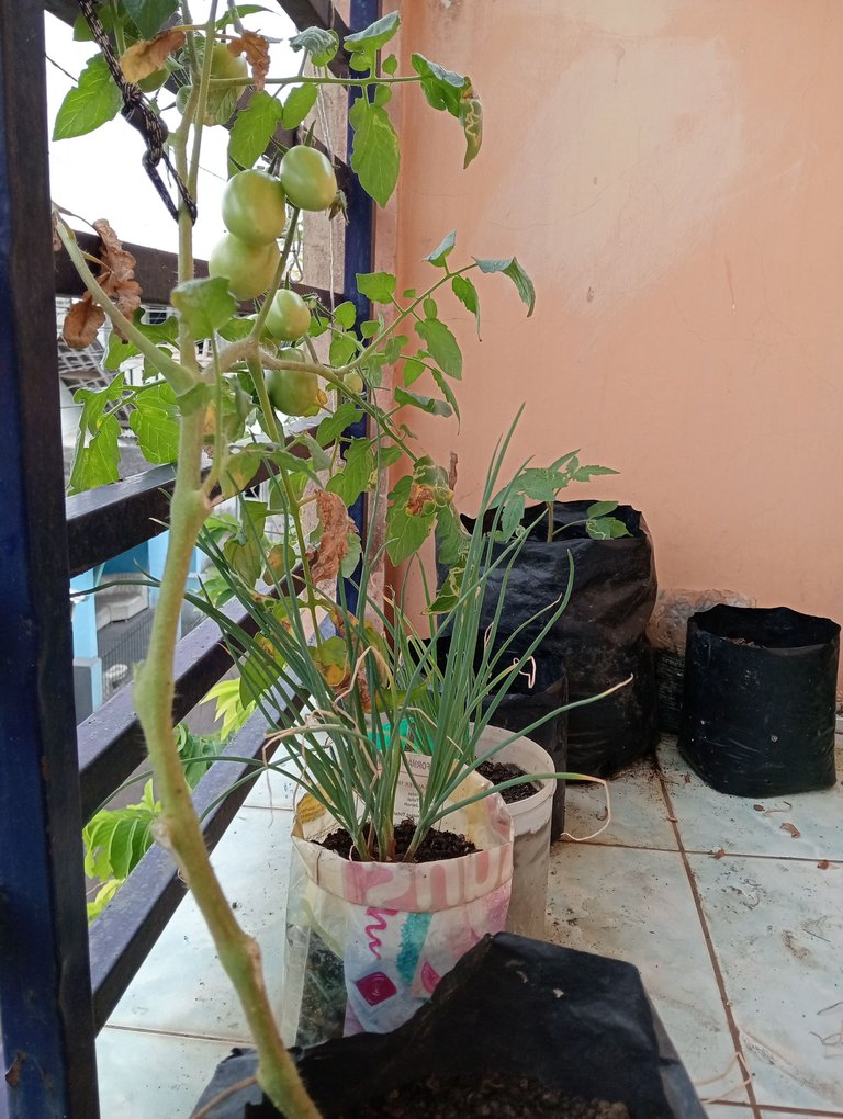 IMG20250803132147.jpg