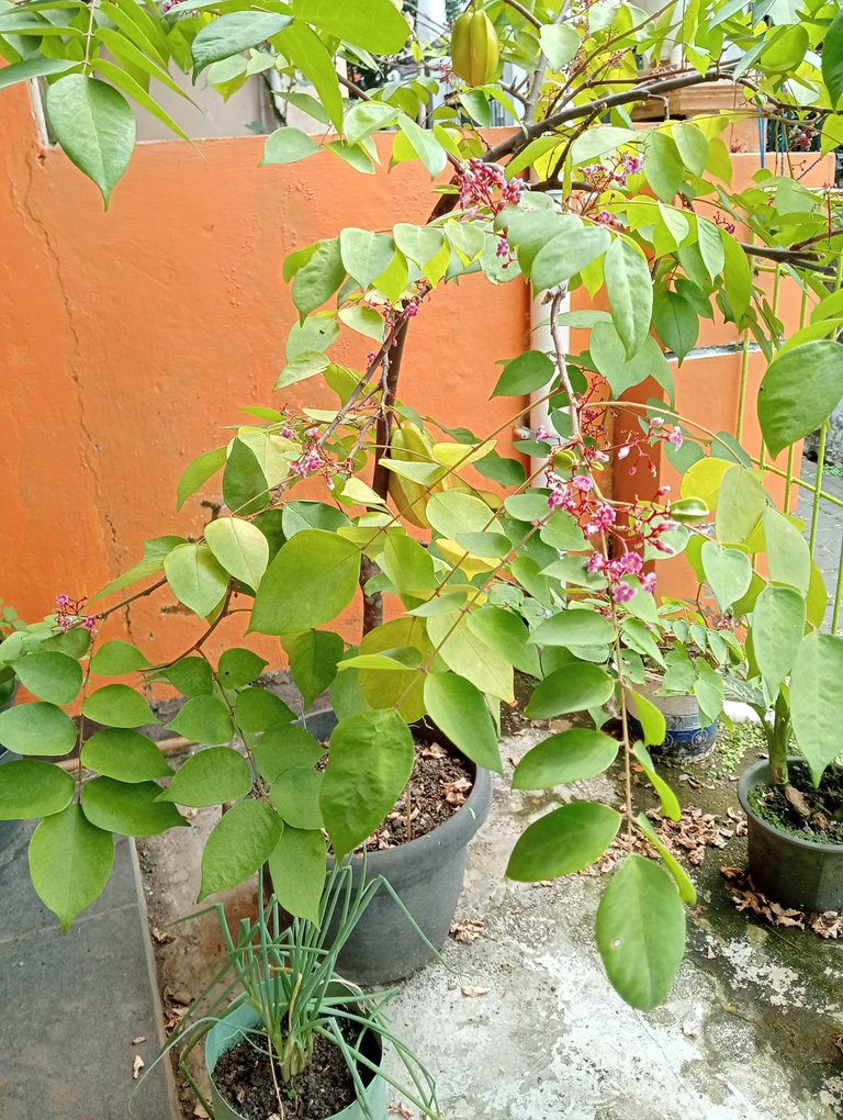 IMG20250803124318.jpg
