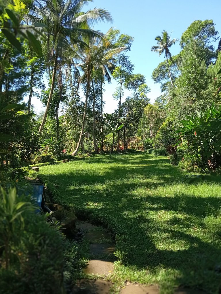 IMG20250608103149.jpg