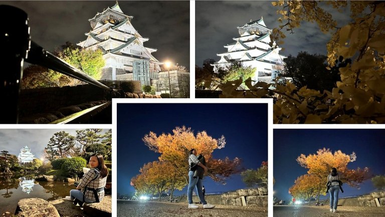 osaka castle night mode.jpg