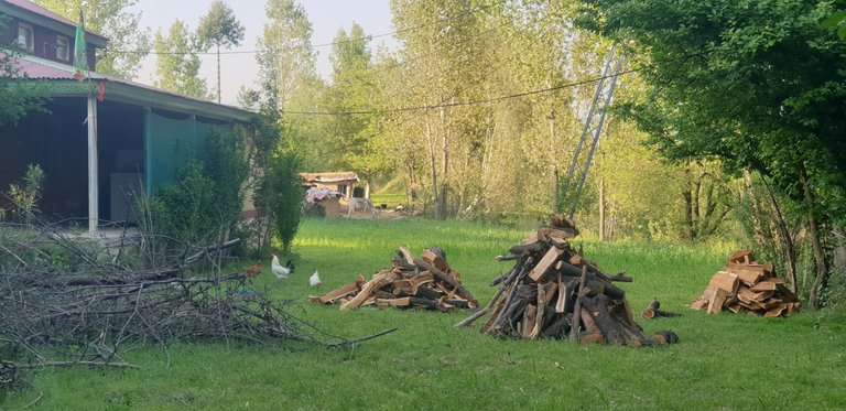 20220401_171704.jpg