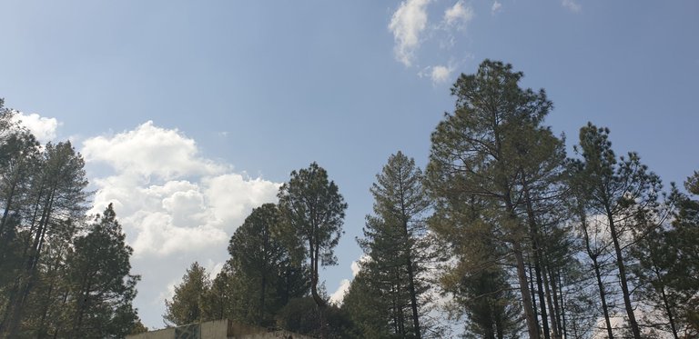 20240304_130908.jpg