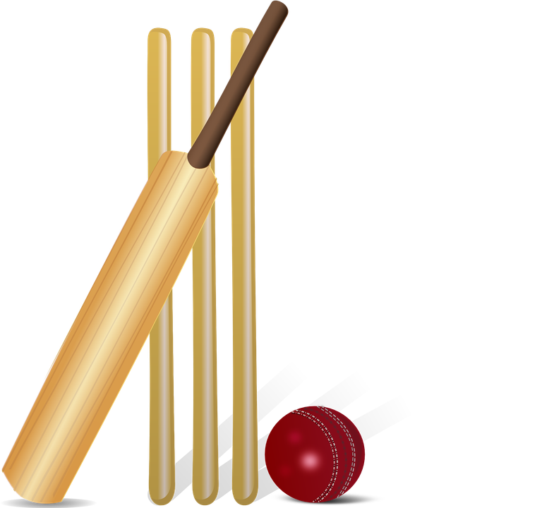 cricket-155965_1920.png