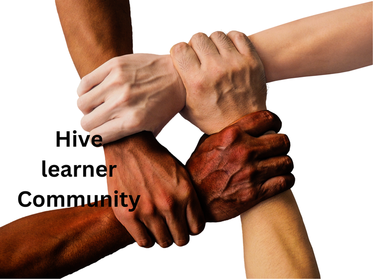 Hive learner Community.png
