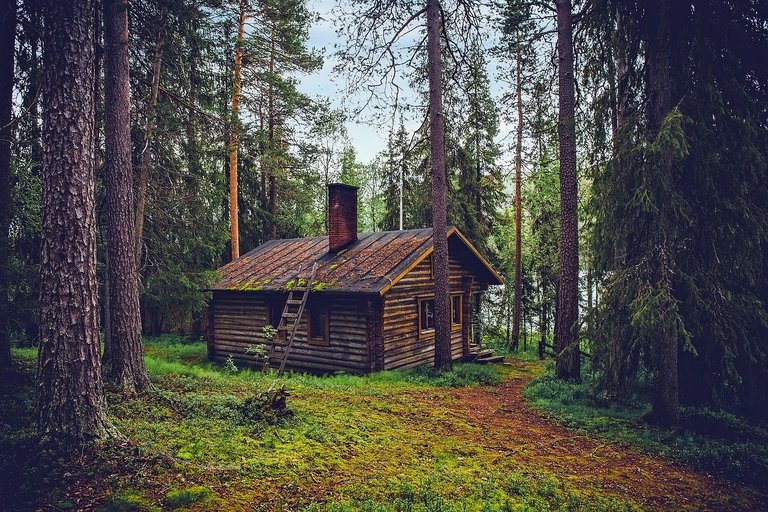 log-cabin-1886620_1280.jpg