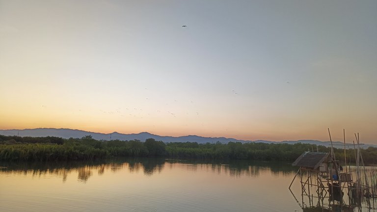 IMG20240419175423.jpg