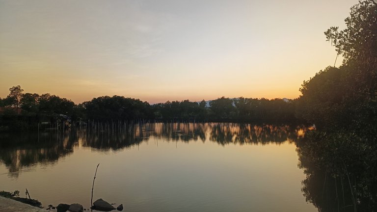 IMG20240419174946.jpg