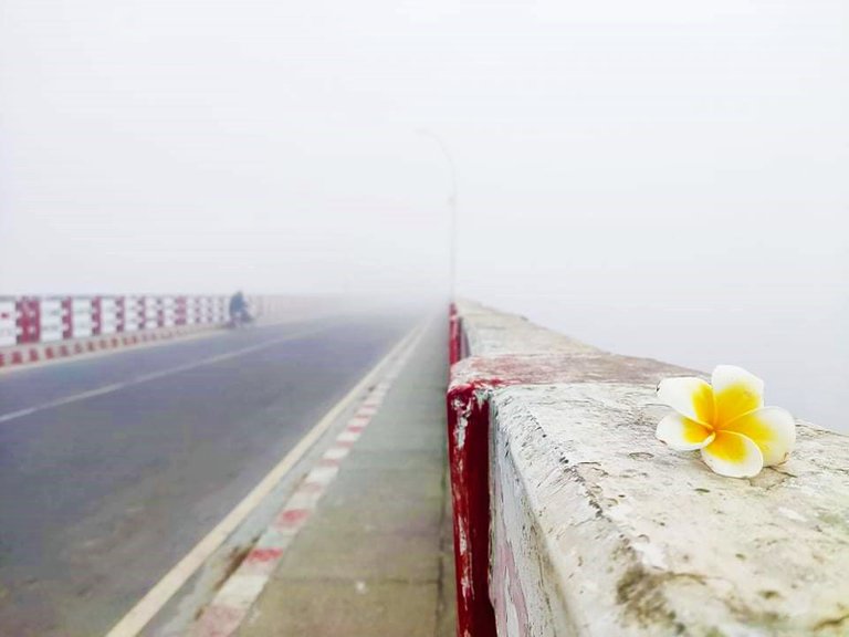 received_324939812856319.jpeg