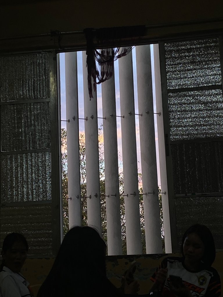 IMG_4817.jpeg