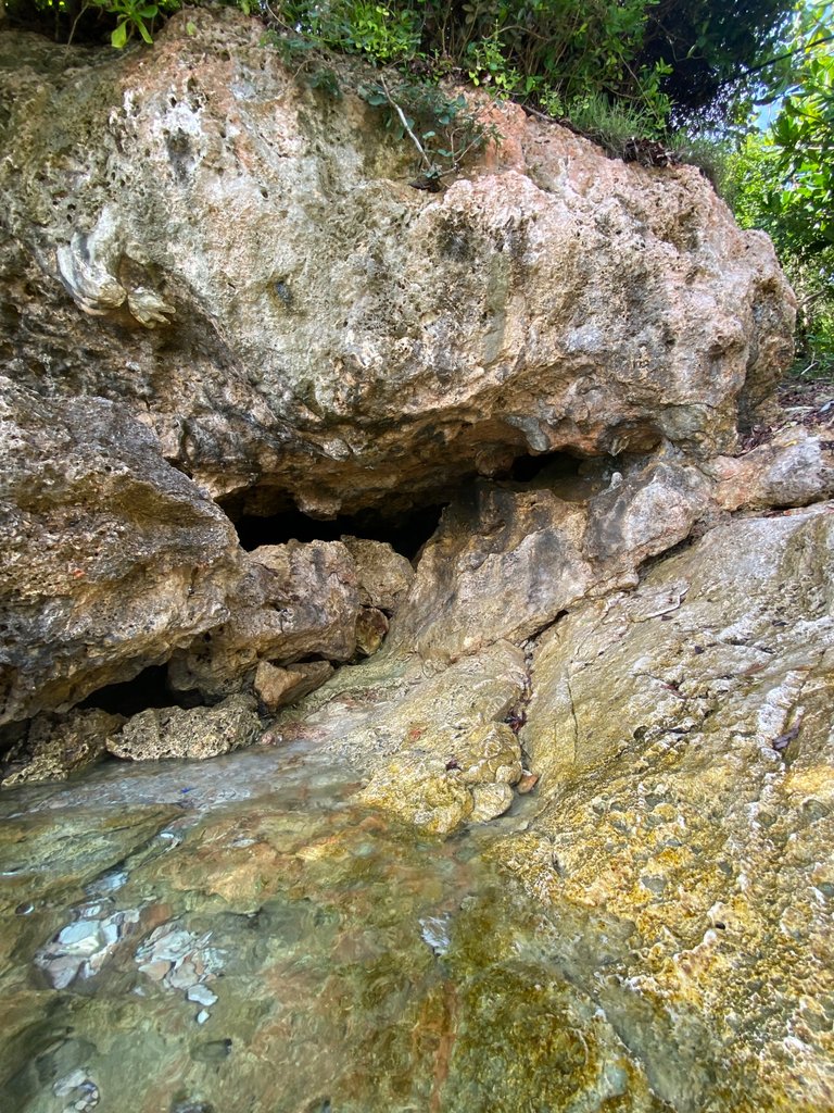 IMG_9512.jpeg