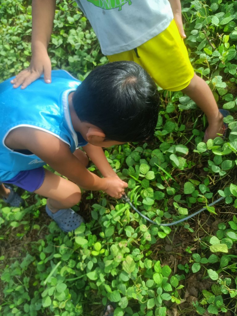 IMG20240114082441.jpg
