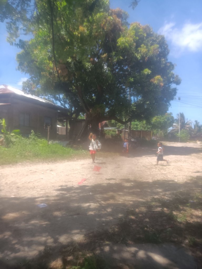 IMG20250413131111.jpg