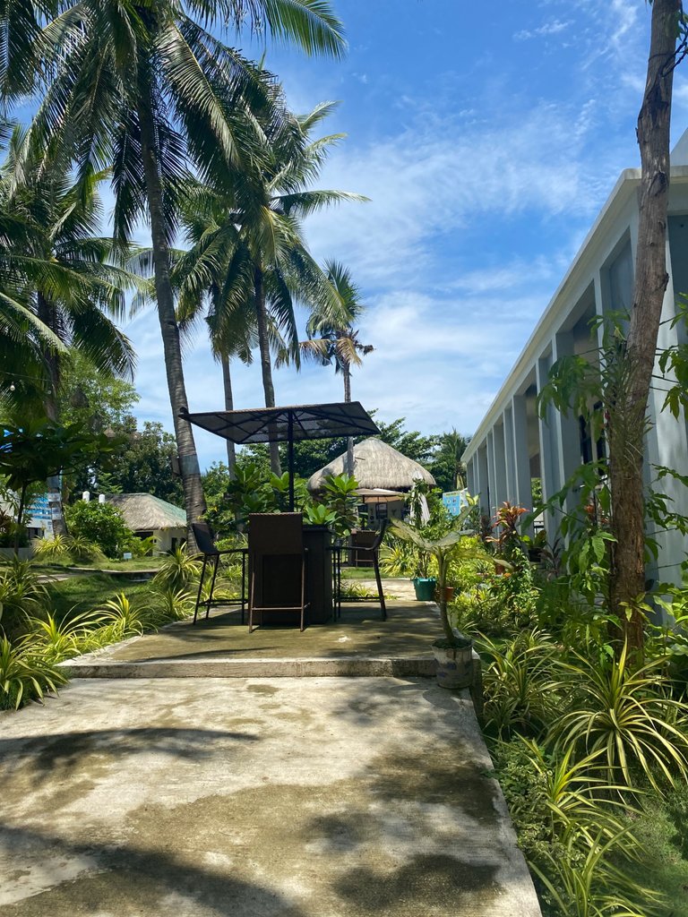 IMG_2523.jpeg